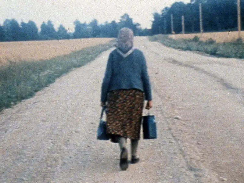 "Воспоминание о поездке в Литву" реж. Йонас Мекас (1972)